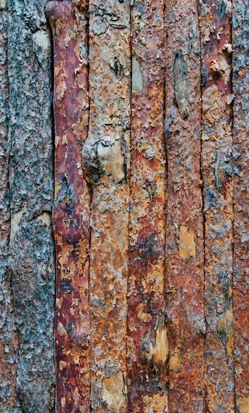 Háttérben Fából Készült Kerítés Készült Hámozott Fenyő Bőrönd Természetes Texture — Stock Fotó