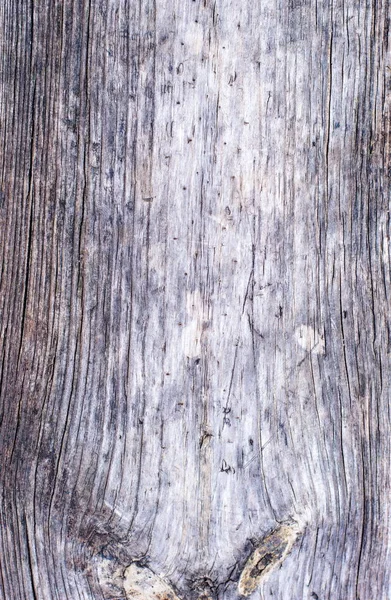 Rustic Wooden Fence Texture Background Natural Brown Yellow Colors — Stock Photo, Image