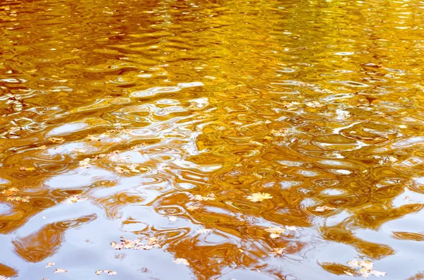 Fondo Abstracto Agua Ondulada Que Refleja Los Árboles Amarillos Aurumn — Foto de Stock