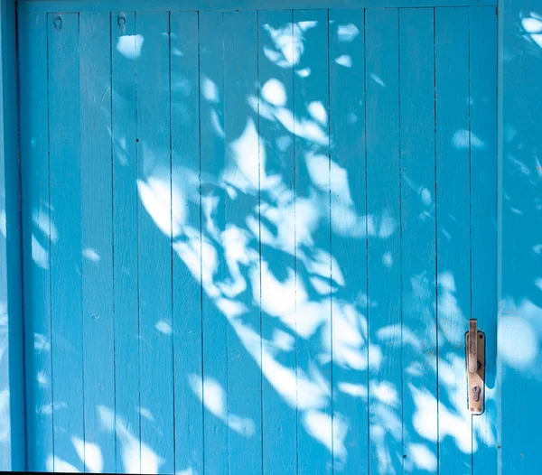 Тени летних листьев на голубом деревянном фоне — стоковое фото