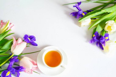 Beyaz arka planda renkli bahar laleleri ve iris çiçekleri