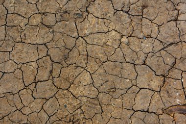 Derin siyah çatlaklar ile renkli kuru toprak yüzeyi
