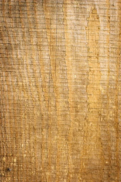 Recinzione in legno rustico sfondo texture di colori marroni e gialli naturali — Foto Stock