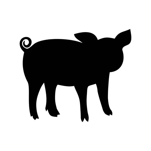 Ein Schwein Ein Tier Symbol Vektorillustration — Stockvektor