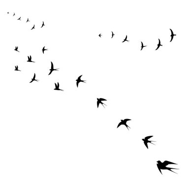 Kuşlar sıcak ülkelere uçar, vektör illüstrasyon
