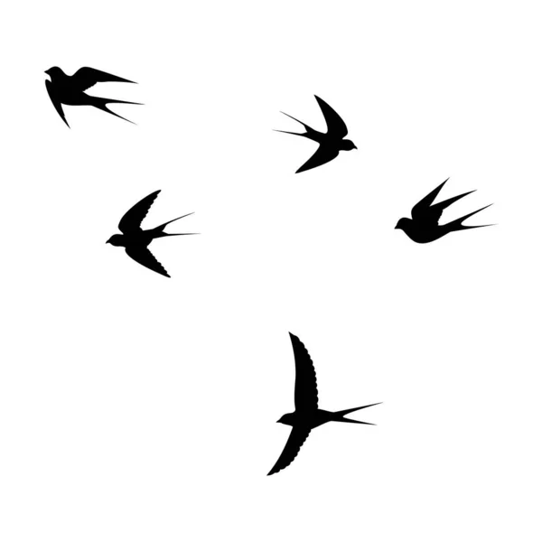 Πουλιά Πετούν Στον Ουρανό Ένα Προς Ένα Διανυσματική Απεικόνιση — Διανυσματικό Αρχείο