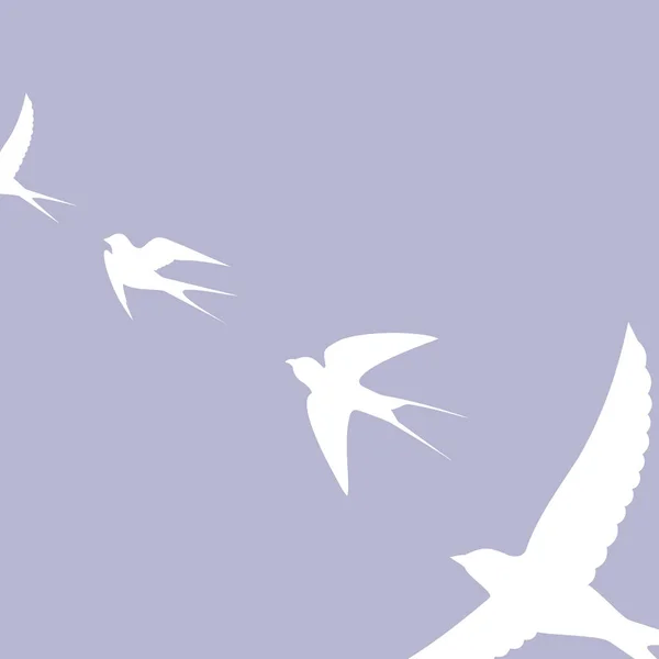 Aves Golondrinas Sobre Fondo Azul Ilustración Vectorial — Vector de stock