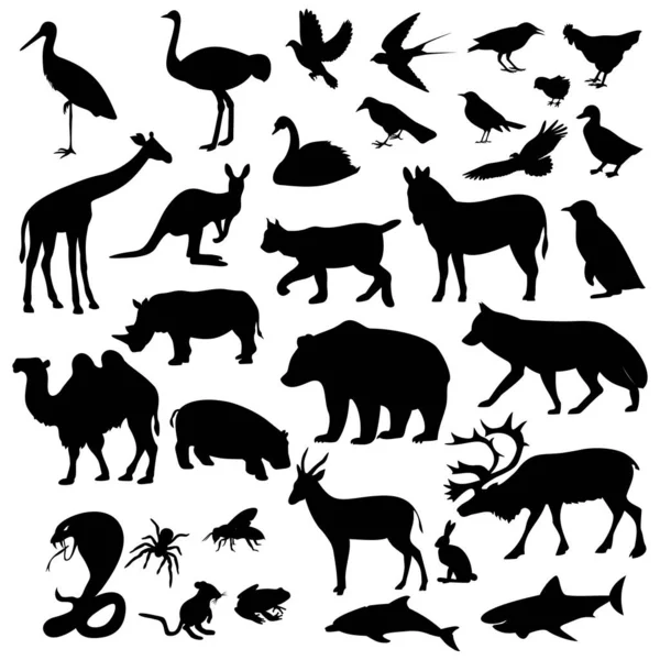 Animals Icons White Background Vector Illustration — Stock Vector