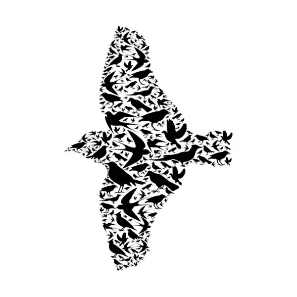 鳥の複合体ベクトル図 — ストックベクタ