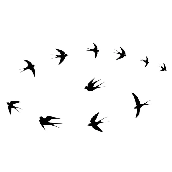 Oiseaux Tournant Dans Ciel Illustration Vectorielle — Image vectorielle