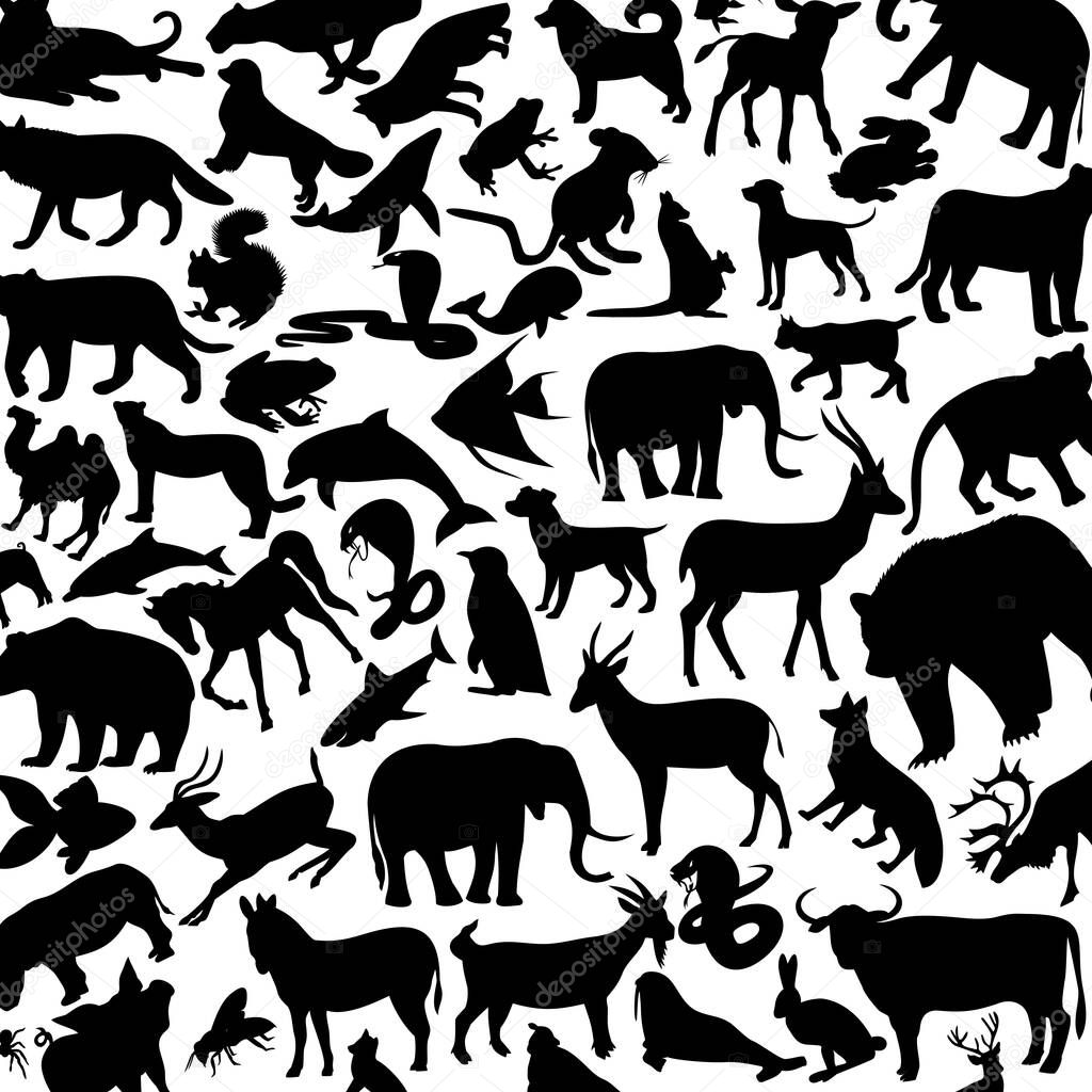 animals background, icons,vector illustration
