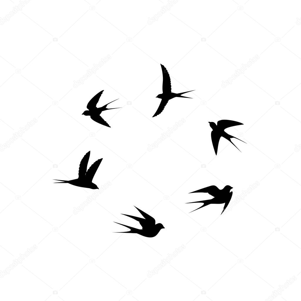 birds fly in flocks around,vector illustration