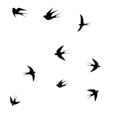 Beyaz arkaplandaki kuşlar, kuş simgesi, vektör illüstrasyonu