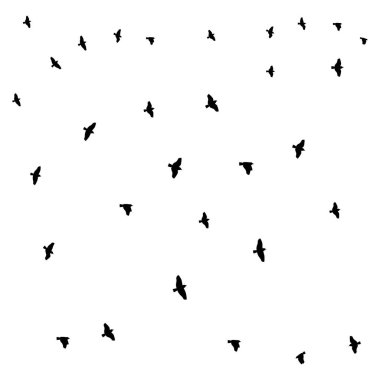 Beyaz arkaplan üzerinde kuşlar vektör, vektör çizimi