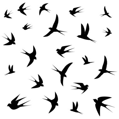 kuş simgesi vektör illüstrasyonu