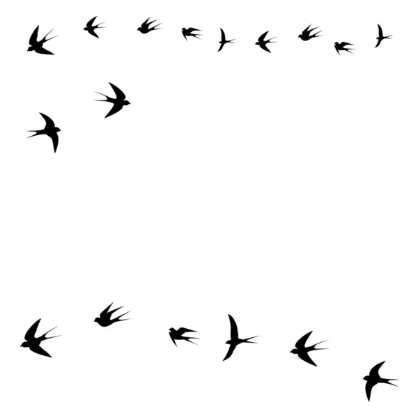 Птицы Ласточки Летают Векторные Иллюстрации — стоковый вектор
