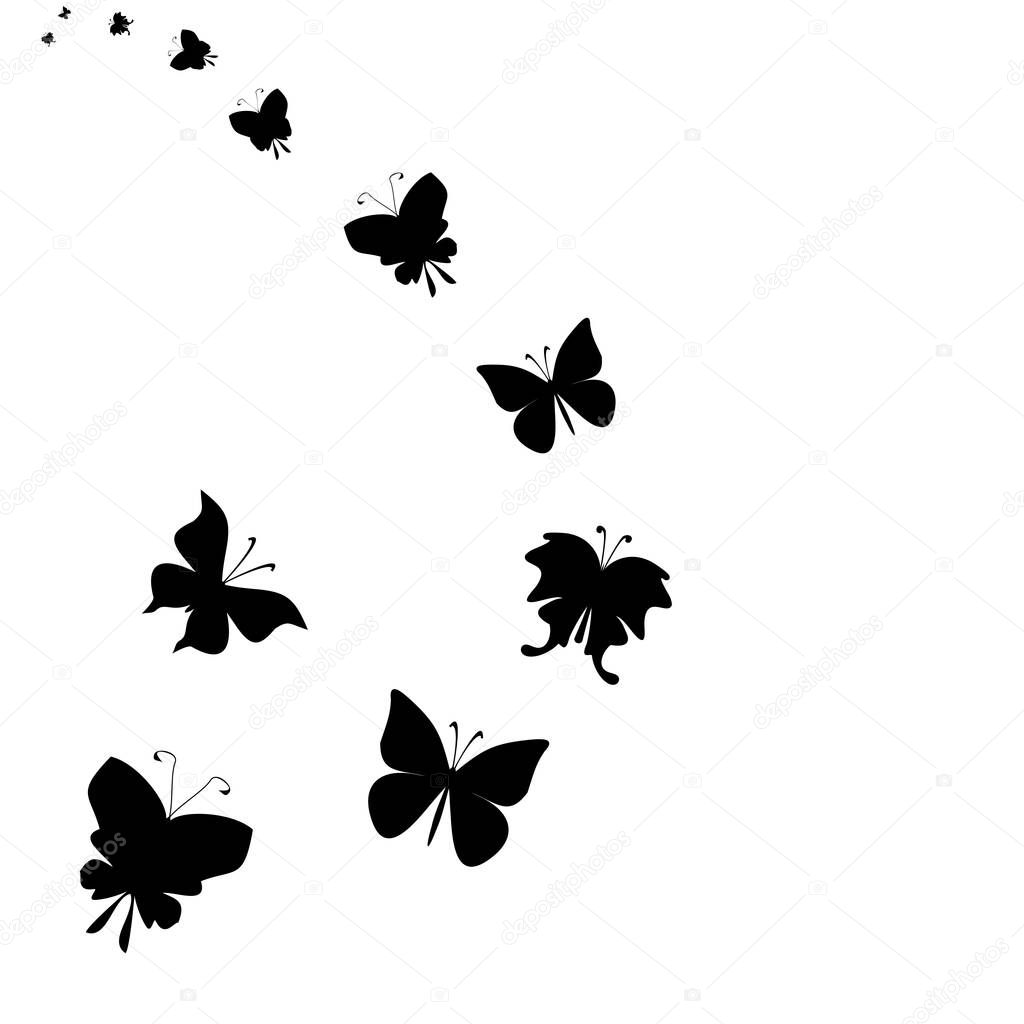butterflies fly illustrations,vector illustration