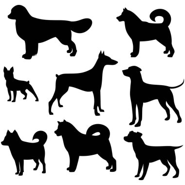 farklı türlerden köpek, simgeler, vektör illüstrasyonu