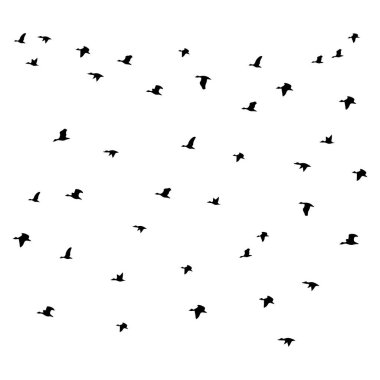 Ördekler uçuyor, kuşlar kümesi, vektör çizimi