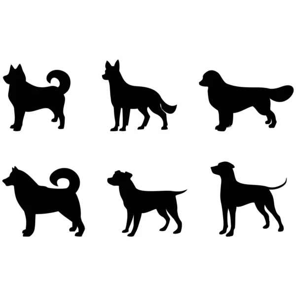 Perro Iconos Mascota Vector Ilustración — Vector de stock