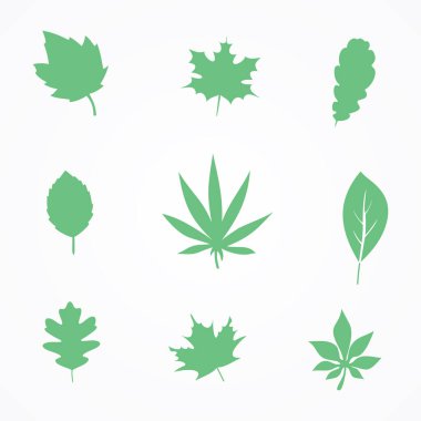 Yaprak simgesi, vektör illüstrasyonu