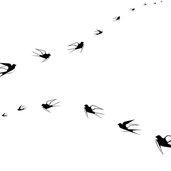 Aves Voladoras Sobre Fondo Blanco Ilustración Vectorial — Vector de stock
