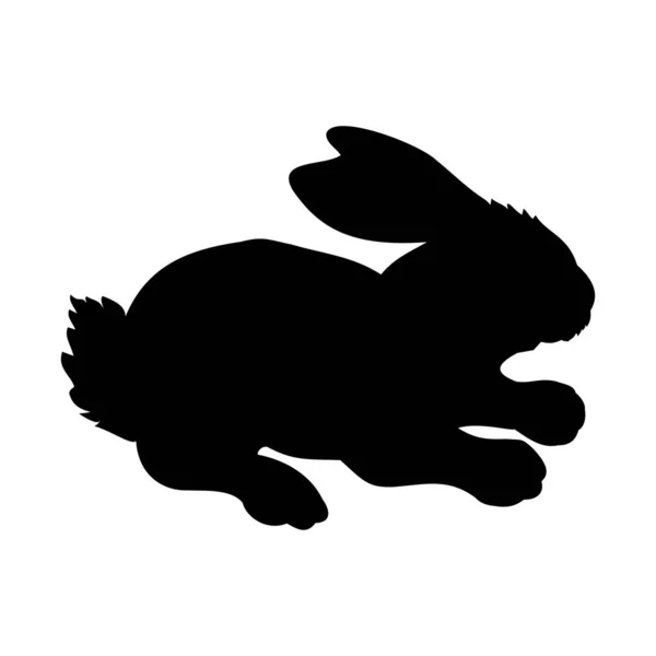 Forest Rabbit Vector Illustration — Stock Vector
