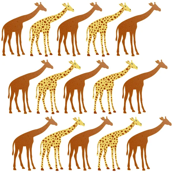 Zsiráfok Különböző Színekben Vektor Illusztráció — Stock Vector