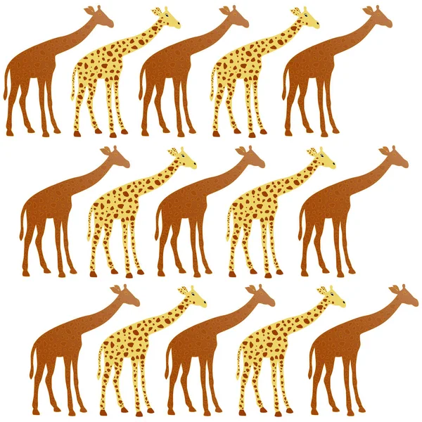 Giraffes Different Colors Vector Illustration — Stock Vector