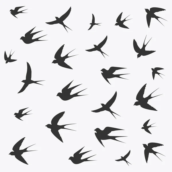 Aves Iconos Vector Ilustración — Vector de stock