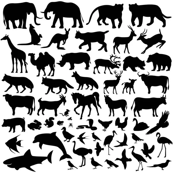 Векторная Иллюстрация Млекопитающих Лицензионные Стоковые Иллюстрации