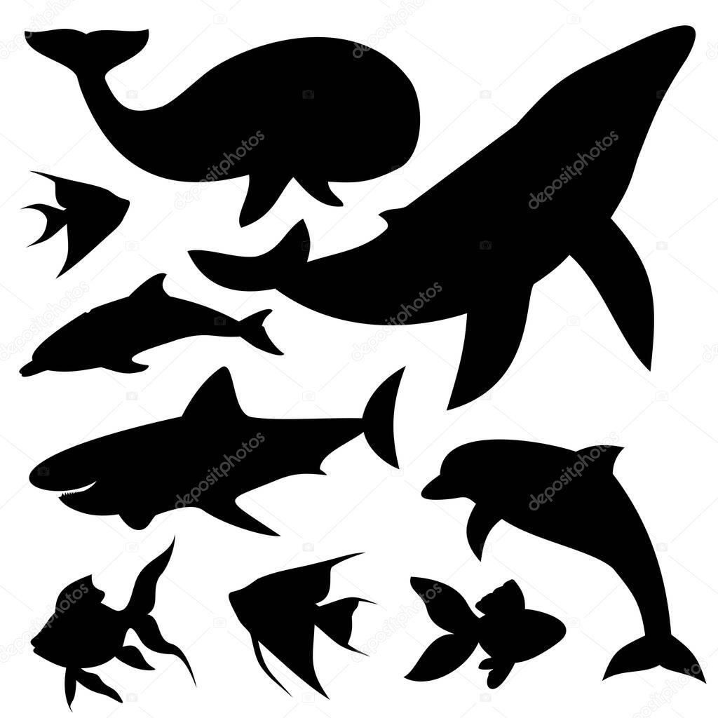 Pisces whales sea,vector illustration