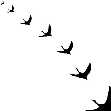 Güneye uçan kuğular, vektör çizimi