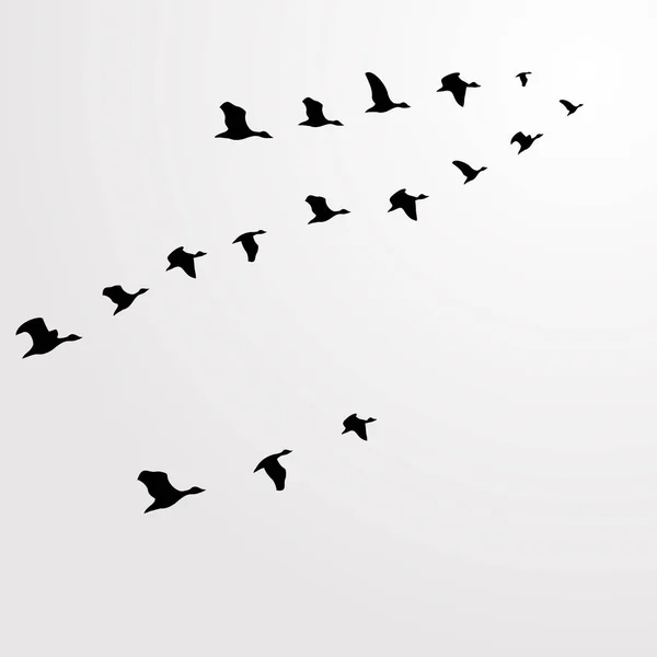 Manadas Siluetas Aves Aves Voladoras Pato Volador Ilustración Vectorial — Vector de stock