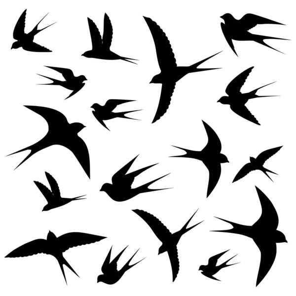 Jugar Las Aves Dando Vueltas Cielo Ilustración Vectorial — Vector de stock