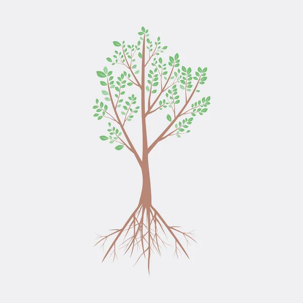 Дерево Листьями Векторная Иллюстрация — стоковый вектор