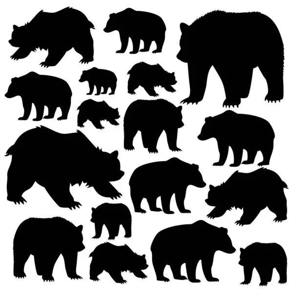 Bears Forest Dwellers White Background Vector Illustration — Stock Vector