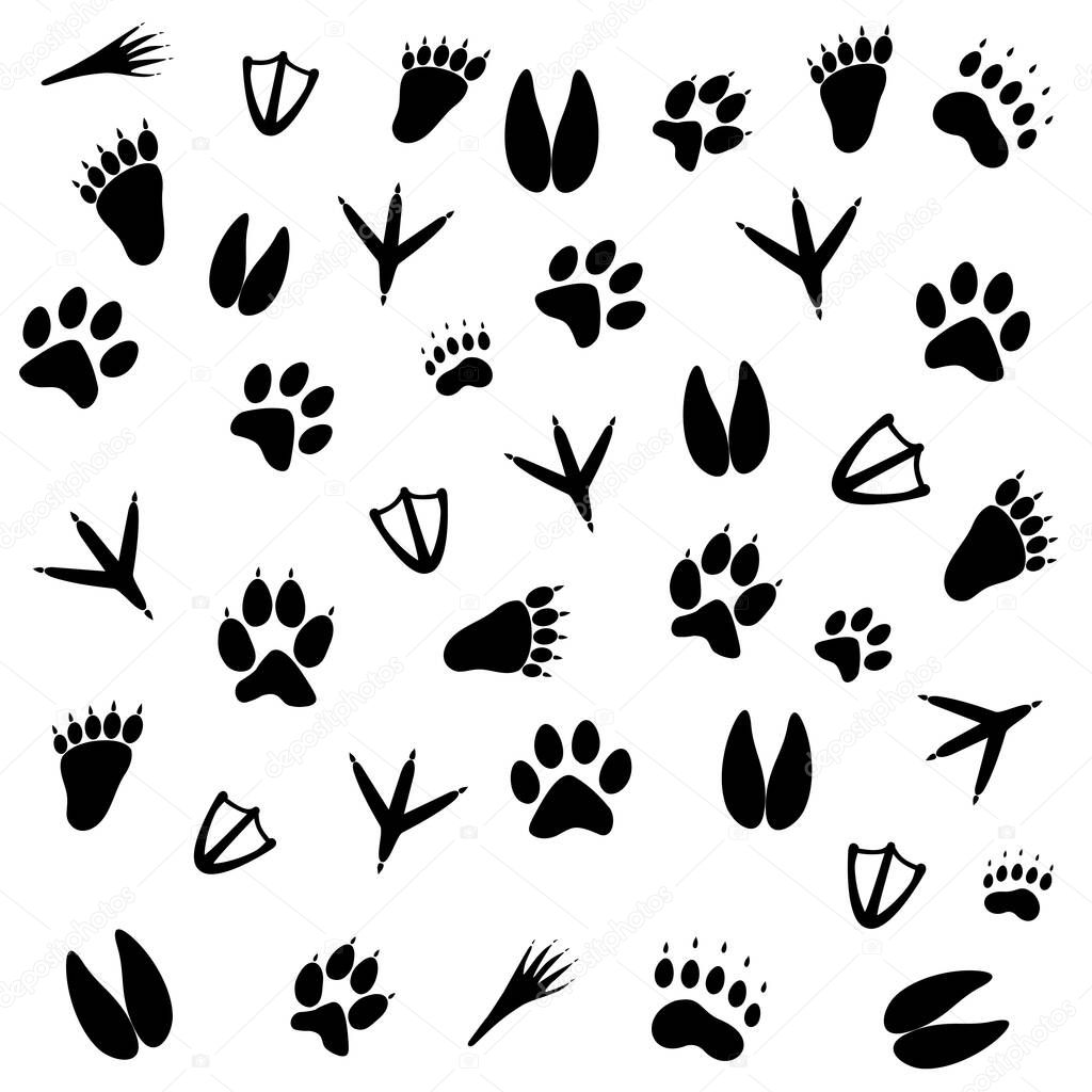 the traces of animals of different,vector illustration