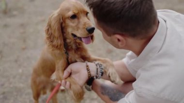 A man interacts with his Cocker Spaniel. The dog stands on its hind legs. The man holds the dogs paws and pets him. They share a tender moment of love and companionship.