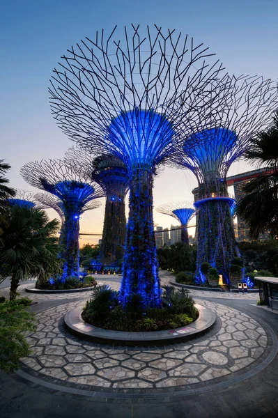 Supertree Grove Gardens Bay Singapur Bei Sonnenuntergang — Stockfoto