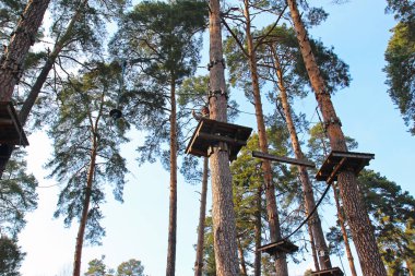 küçük bir kız macera parkta iğne yapraklı ağaçlar arasında yüksek düzeyde silüeti