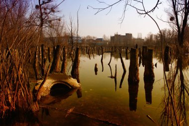 düzenlenen ağaç gövdeleri ve günbatımı ışığında sudan çıkmış eski lastik ile sular altında dere
