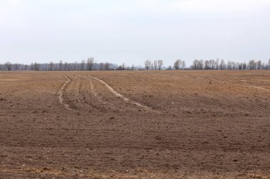 bir alanda, uzak çıplak ağaçların içinde sürülmüş siyah toprak