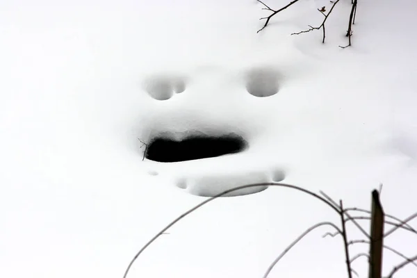 Смайлик Снегу Который Получился Таяния Снега — стоковое фото
