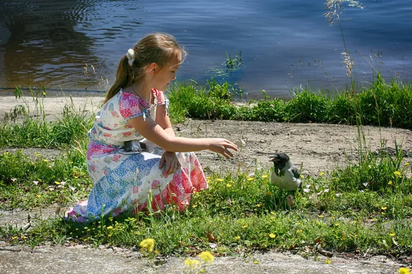 小さな女の子が水のそばに座っていると小さなカラスに到達しています — ストック写真