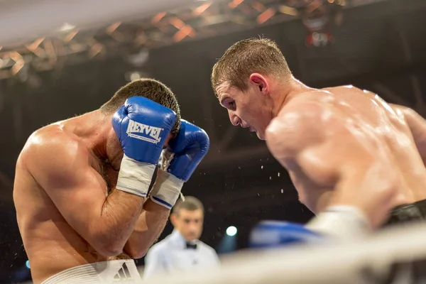 Бровары Украина 2015 Два Профессиональных Боксера Синих Боксерских Перчатках Выходят — стоковое фото