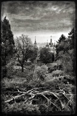Antik manastır ve ağaç kökleri vintage tarzında yapılmış bir fotoğraf. Siyah beyaz fotoğraf.