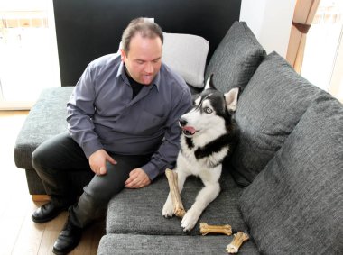 Bir adam kanepede bir Husky ile oynuyor ve onun dilini gösterir