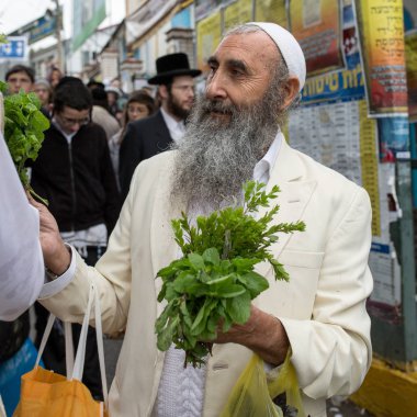 Uman, Ukrayna, 13.09.2015 elinde yeşil otlar bir sürü beyaz bez ve beyaz Kipa sakallı yaşlı Yahudi. Arka plan üzerinde siyah giysili diğer Yahudiler vardır