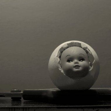 Embriyo yumurta yüzüdür